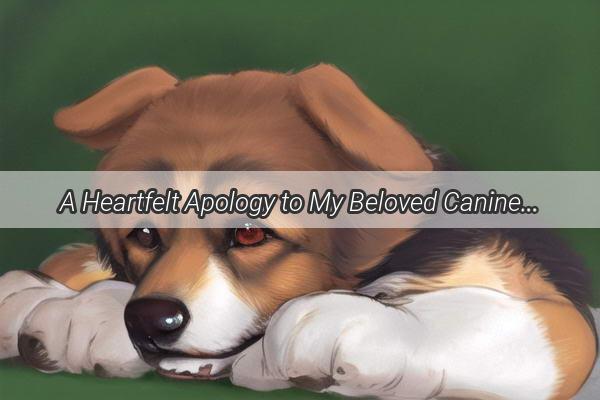 A Heartfelt Apology to My Beloved Canine Brother A Tale of Redemption and Unbreakable Bond